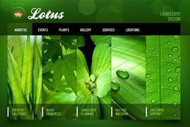 運用色輪原理優(yōu)化北京網(wǎng)站建設中的網(wǎng)頁設計